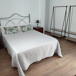 https://casa-duplex-en-el-centro.es-andalucia.com
